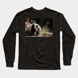 Panda Long Sleeve T-Shirt